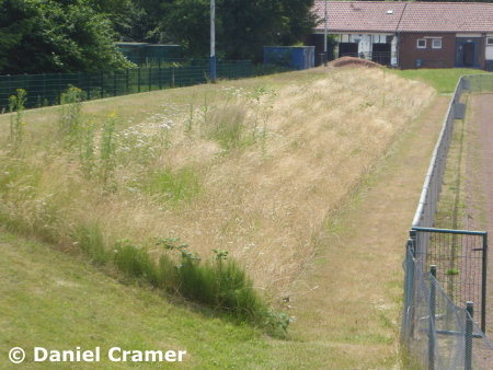 SuS Beckhausen U19 vs. Firtinaspor Herne U19