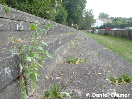 Langendreer 04 vs. BW Langenberg