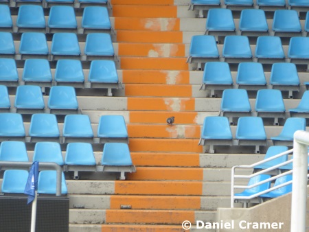 VfL Frauen vs. FC Viktoria Berlin