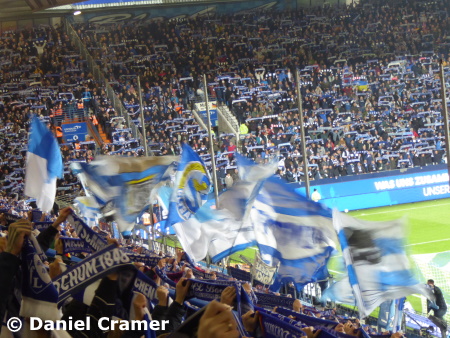 VfL vs. FSV Mainz 05 2:2, 23/24