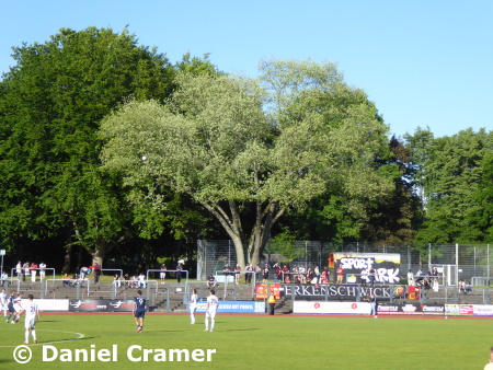 VfL Bochum U21 vs. SpVgg Erkenschwick 4:0 2024/2025